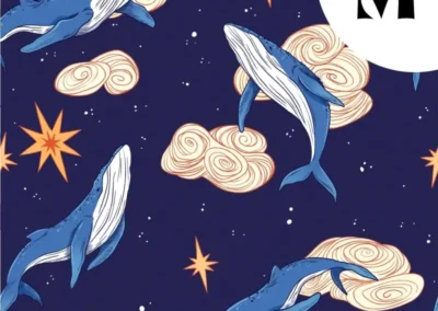 French Terry Les Baleines fond bleu marine- Lixy Illu